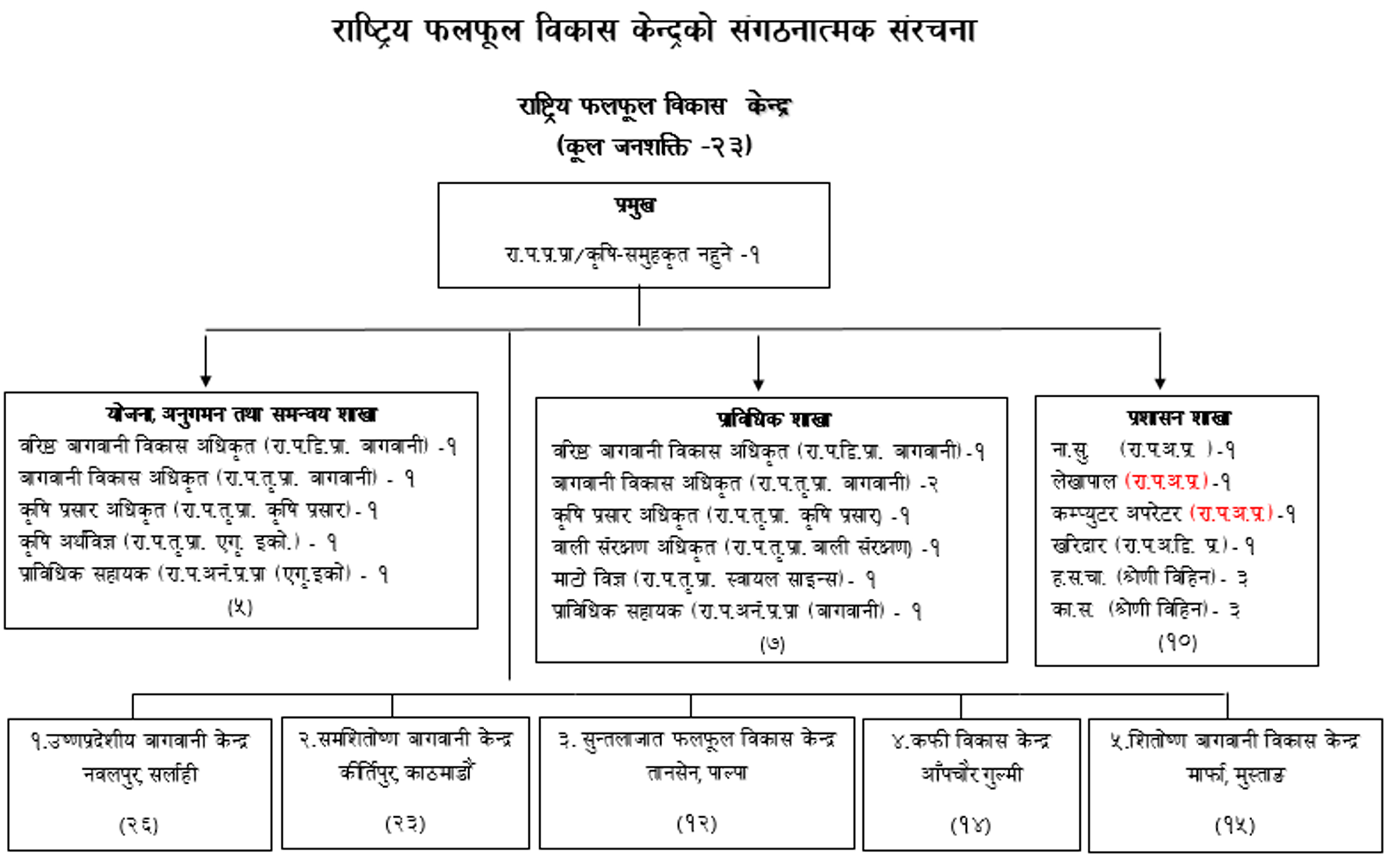 Organization Structure